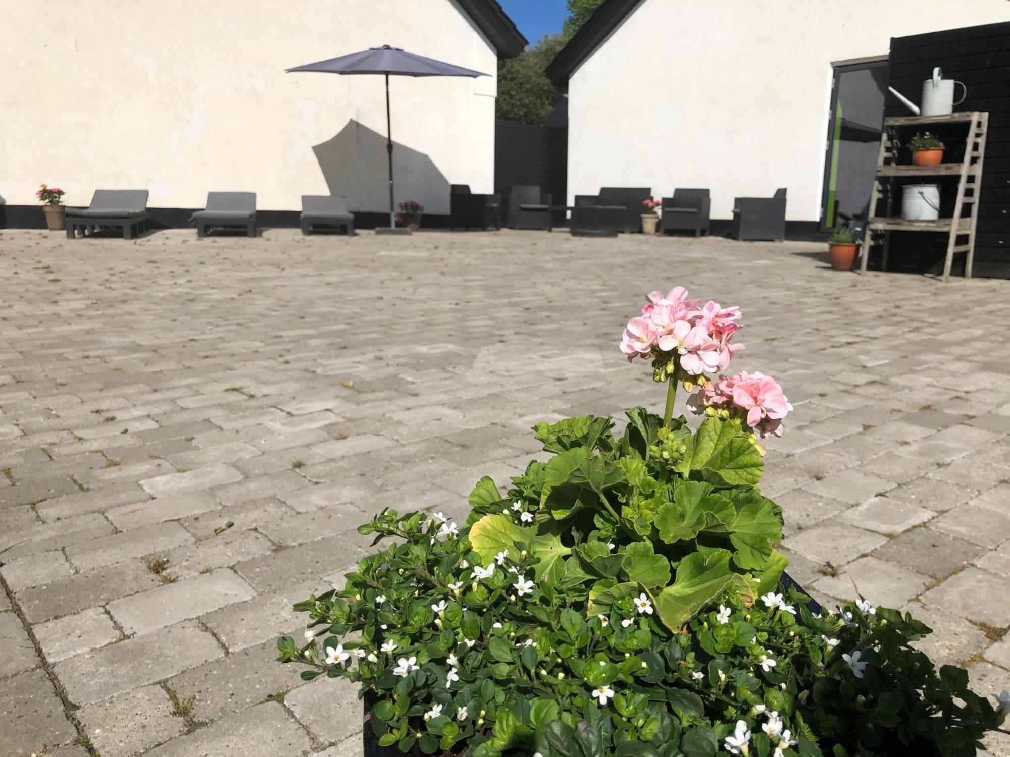 The Barn Guest House Give Екстериор снимка